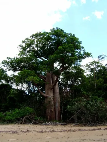 Maratón Madagascar