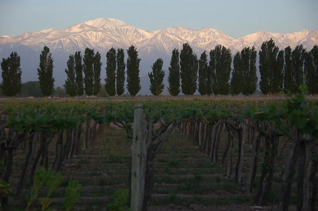 Maratón de Mendoza